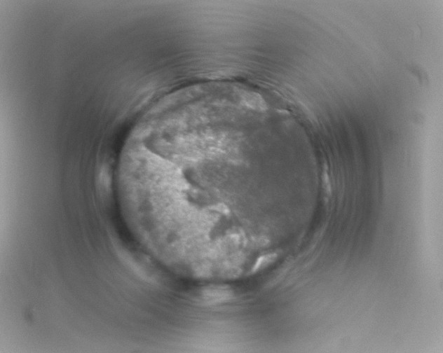 X0000115060214200911231222