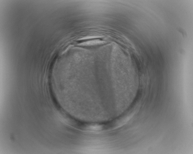 X0000115060217200911231222