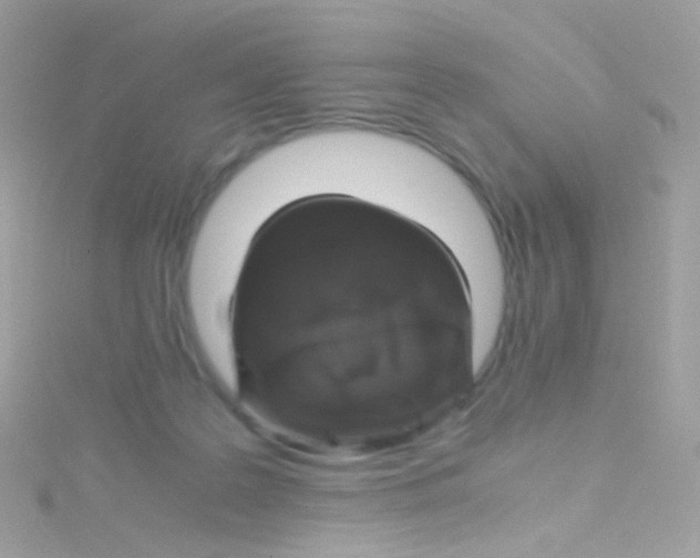 X0000115060219200911231222