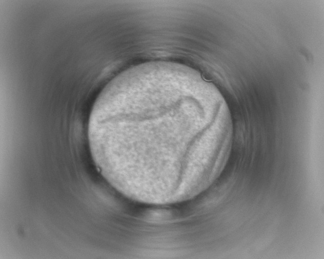 X0000115060220200911231222