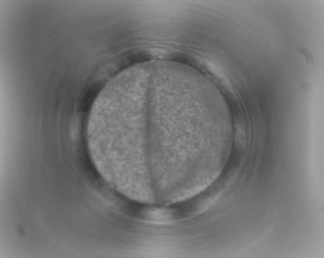 X0000115060221200911231222