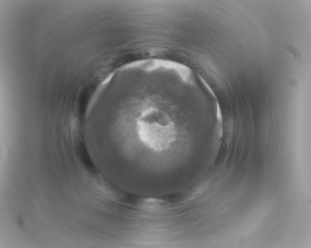 X0000115060222200911231222