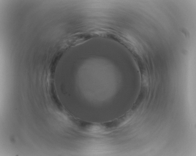 X0000115060223200911231222