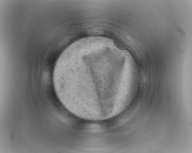 X0000115060224200911231222