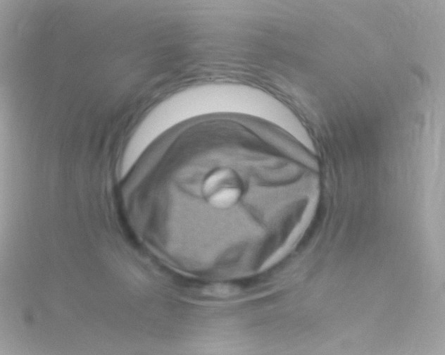 X0000115060225200911231222