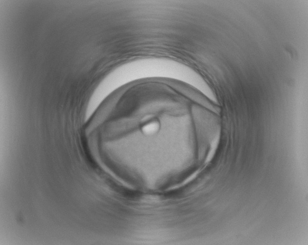 X0000115060227200911231222