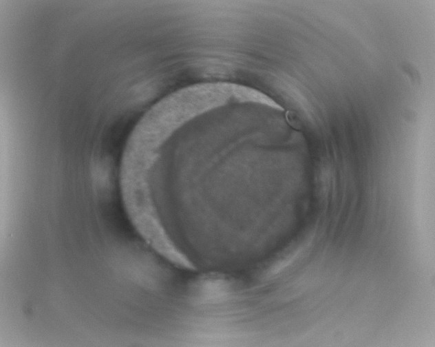 X0000115060228200911231221