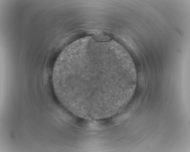 X0000115060229200911231221