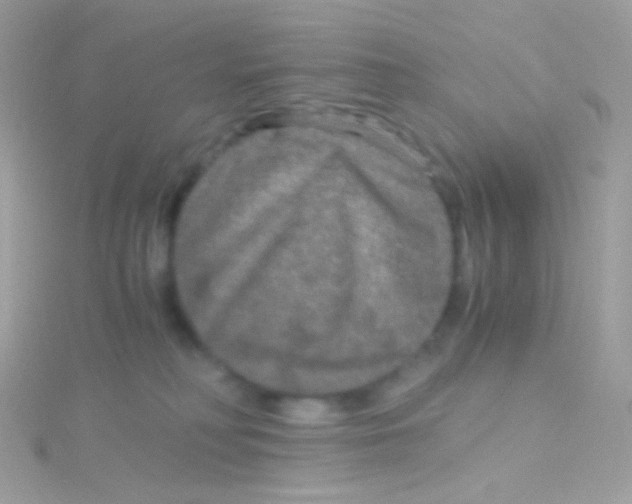 X0000115060230200911231221