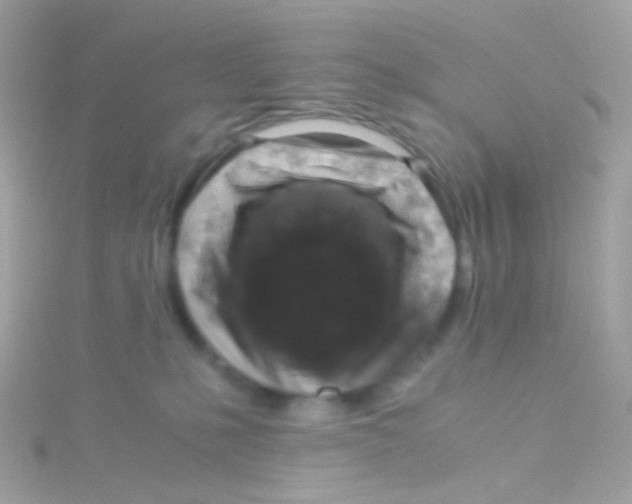 X0000115060231200911231221