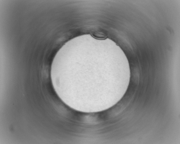 X0000115060232200911231221