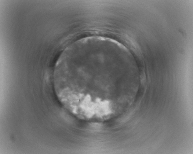 X0000115060233200911231221