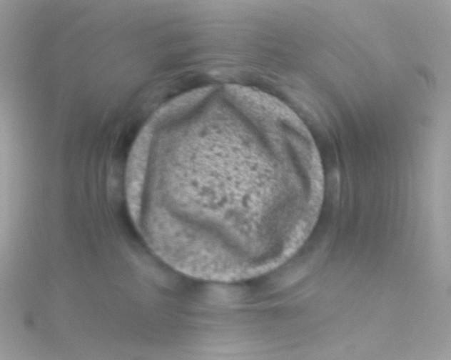 X0000115060234200911231221