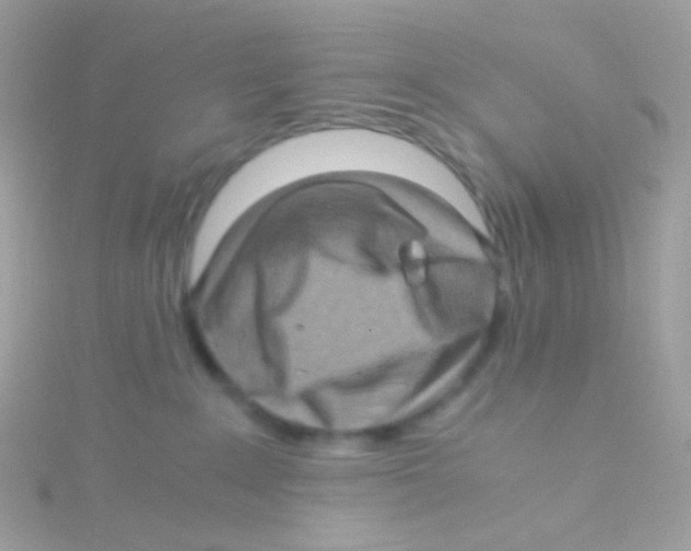 X0000115060235200911231221