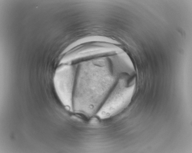 X0000115060236200911231221