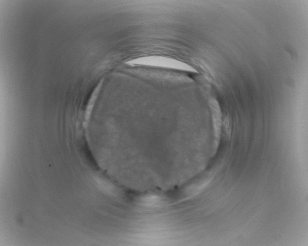 X0000115060237200911231221