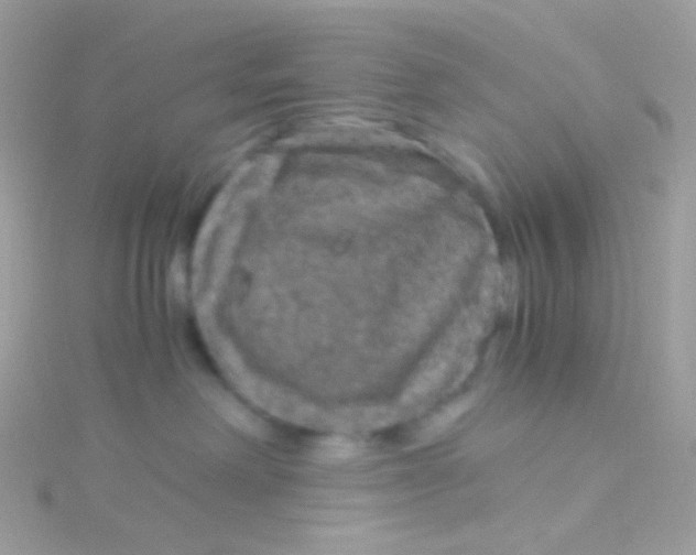 X0000115060238200911231221