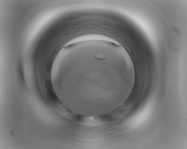 X0000115060239200911231221