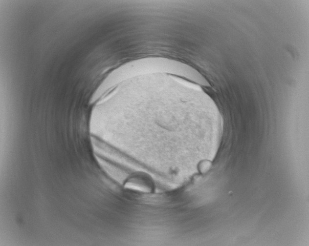 X0000115060240200911231221