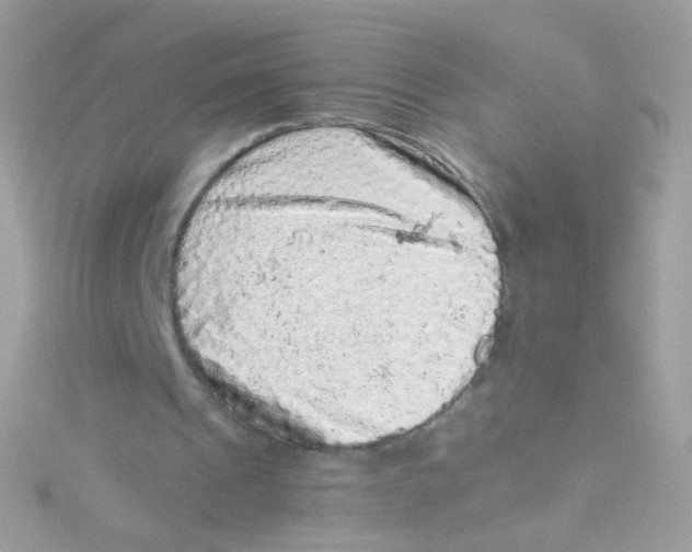 X0000115060241200911231221