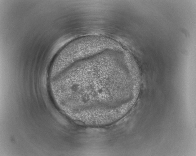 X0000115060242200911231221