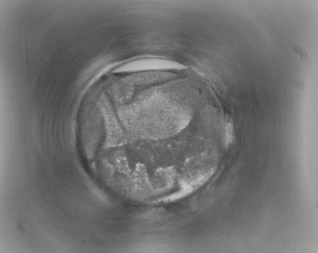 X0000115060243200911231221