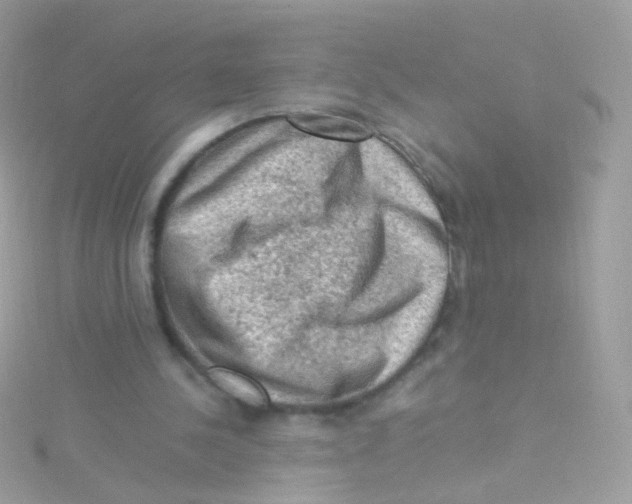 X0000115060244200911231221