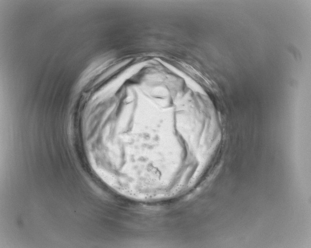 X0000115060245200911231221