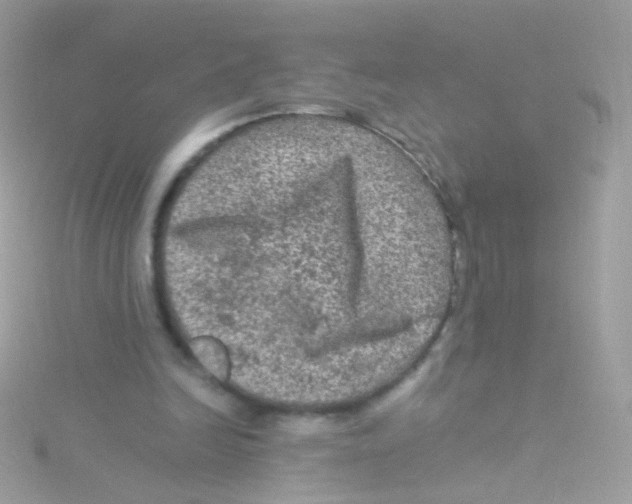 X0000115060246200911231221