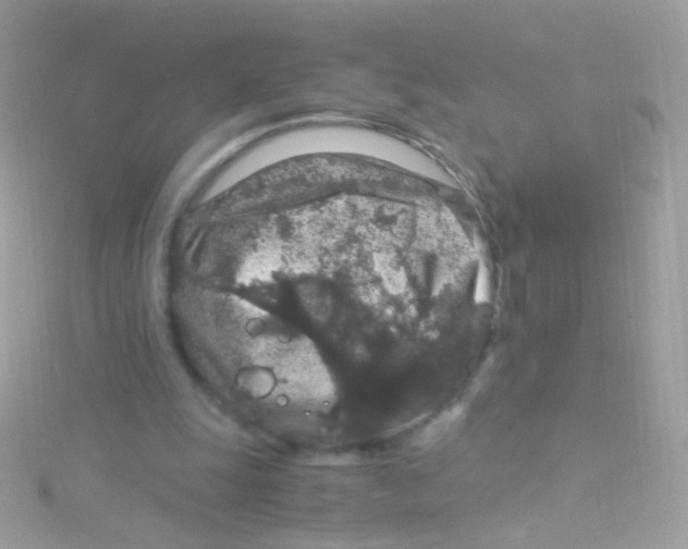 X0000115060247200911231221