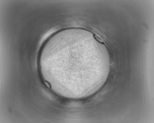 X0000115060248200911231221