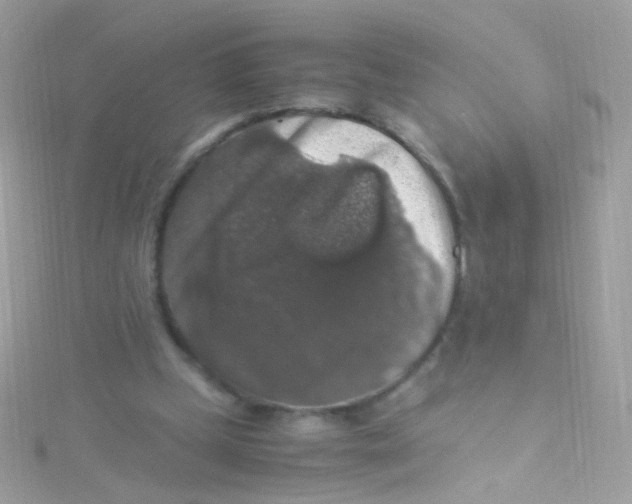 X0000115060249200911231221