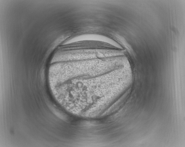 X0000115060250200911231221