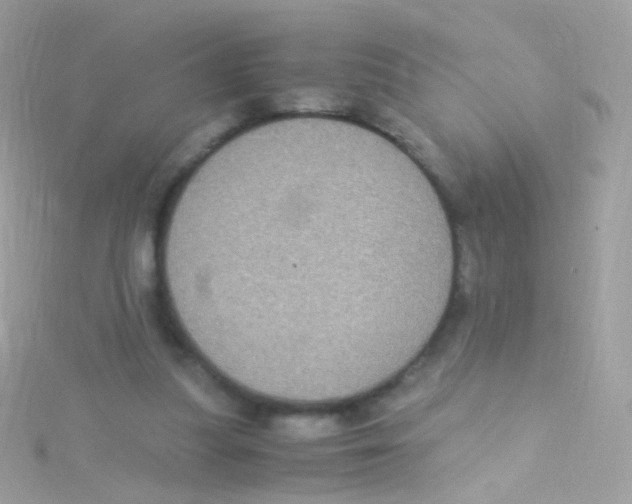 X0000115060251200911231221