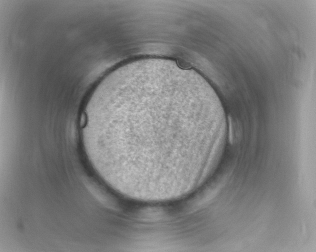 X0000115060252200911231221