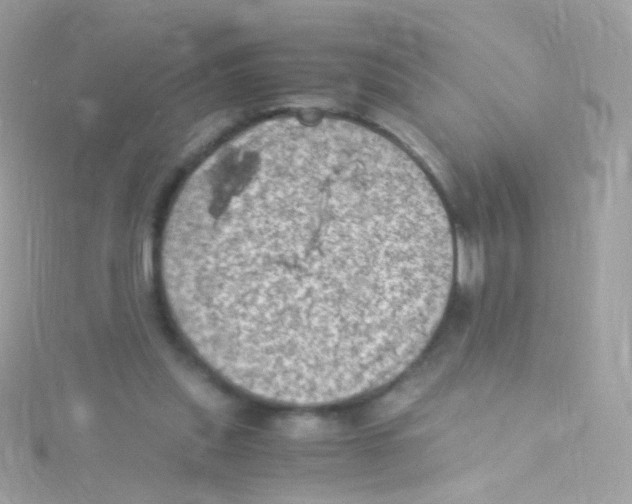 X0000115060253200911231221