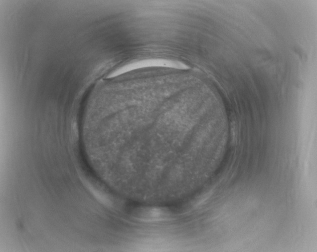 X0000115060254200911231221