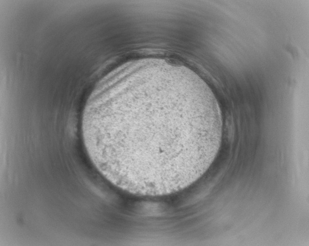 X0000115060255200911231221