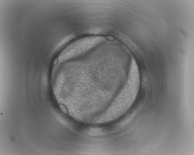 X0000115060256200911231221