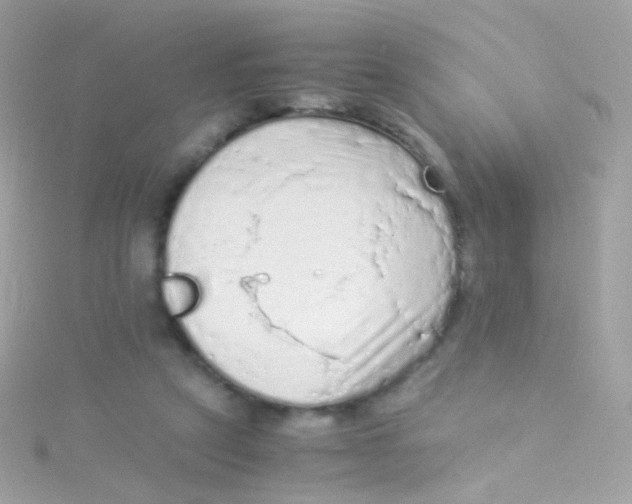 X0000115060257200911231221