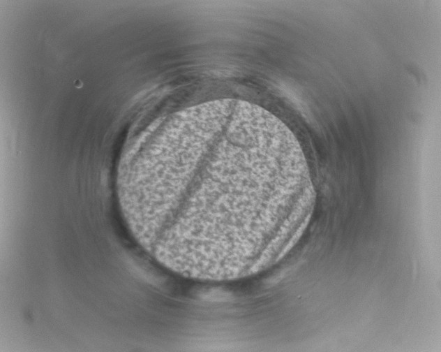 X0000115060258200911231221