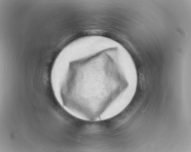 X0000115060259200911231221