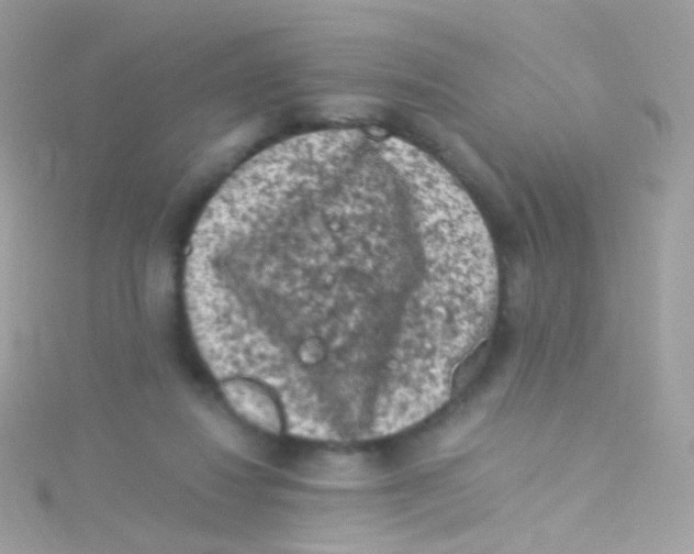 X0000115060260200911231221