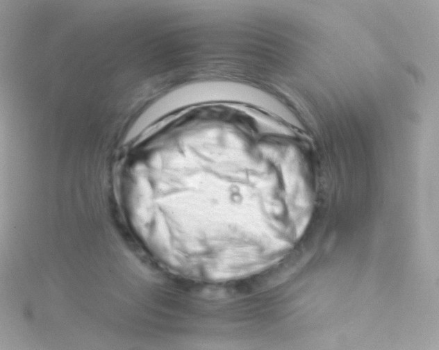 X0000115060261200911231221