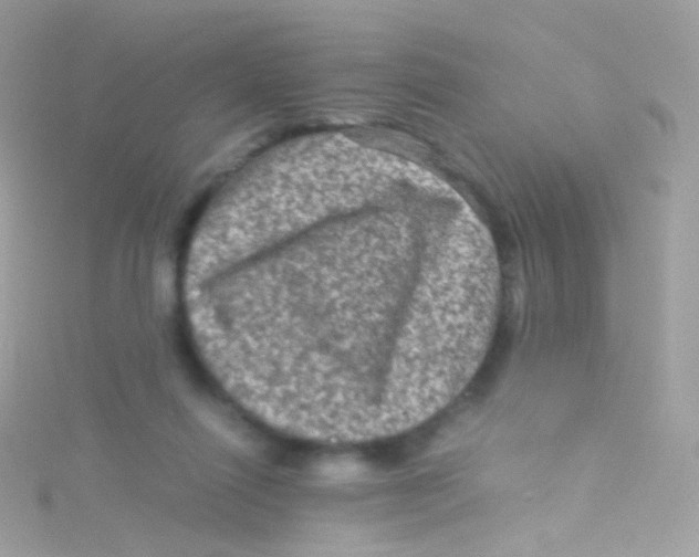 X0000115060262200911231221