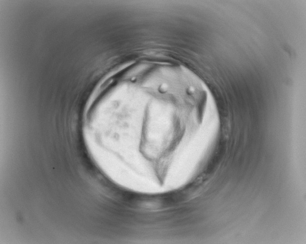 X0000115060263200911231221