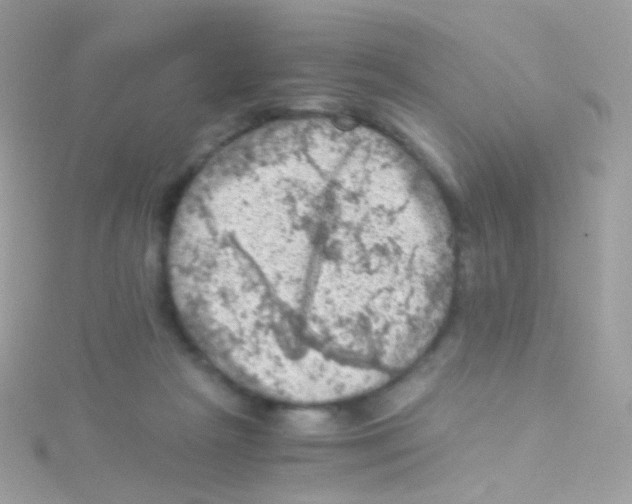 X0000115060265200911231221