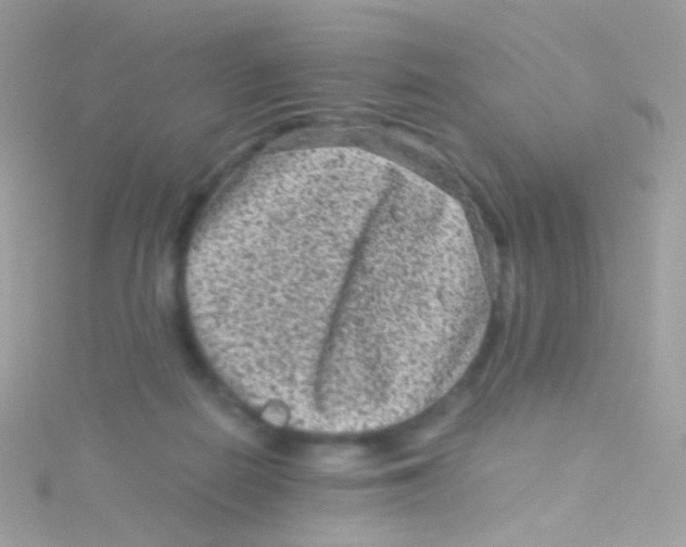 X0000115060266200911231221