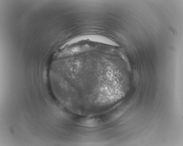 X0000115060267200911231221