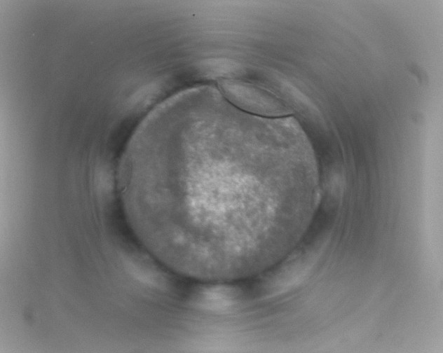 X0000115060268200911231221